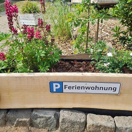 Ferienwohnung Im Winkel Hanstedt Екстериор снимка
